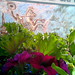 Barbara Paradise Photo 7