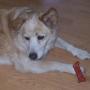 Peggy Schaefer Photo 12