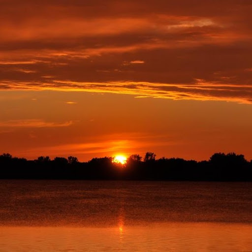 Tracy Bacon Photo 24