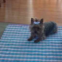 Kimberly Hoffman Photo 15