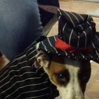 Harry Welch Photo 32