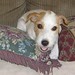 Suzanne Russell Photo 28