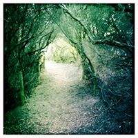 Anna Fletcher Photo 8