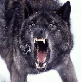 Nathan Poole Photo 23