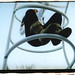 Deborah Childs Photo 12