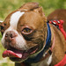 Scott Niles Photo 39