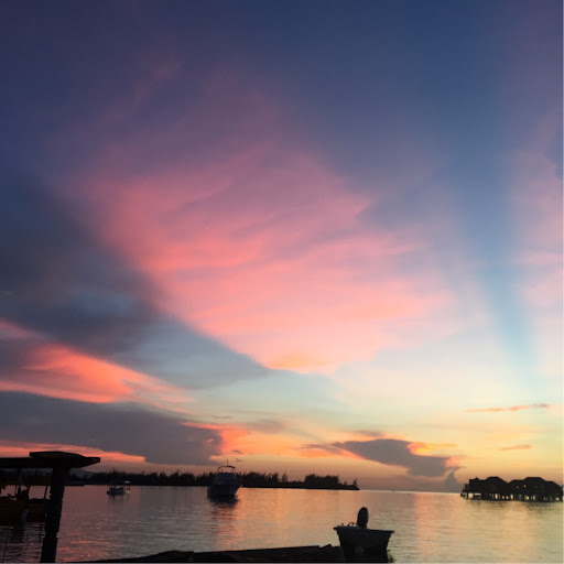 Susan Mueller Photo 18