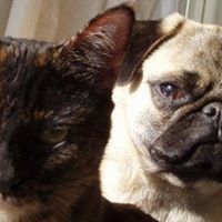 Hugh Patterson Photo 14