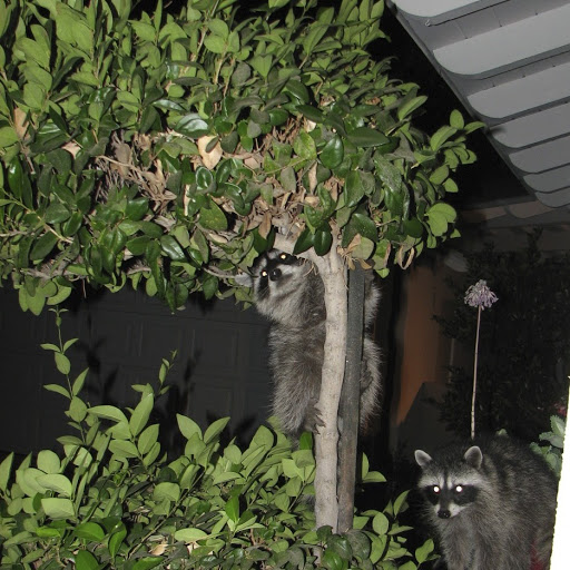 Michael Spencer Photo 42 Michael Spencer Photo 42