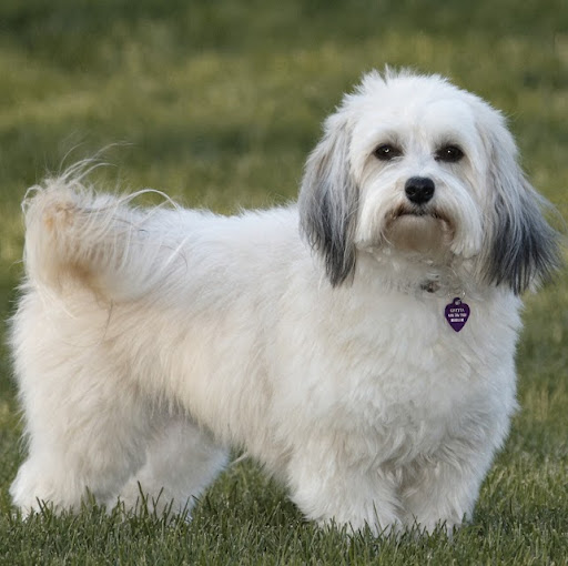 Janet Pickett Photo 9