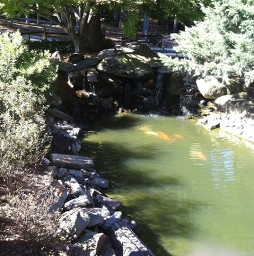 Ruby Kennedy Photo 9