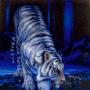 Gina Caputo Photo 24