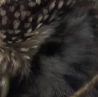 Michael Muth Photo 28