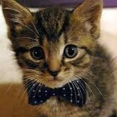 Josh Parker Photo 22