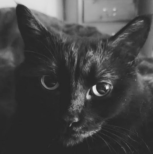 Melanie Hebert Photo 38 Melanie Hebert Photo 38