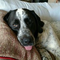 Kimberly Holt Photo 13 Kimberly Holt Photo 13