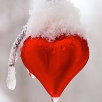 Debbie Lefort Photo 4