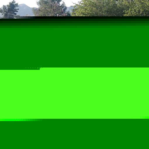 Lisa Harper Photo 26