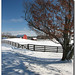 Lisa Winter Photo 28
