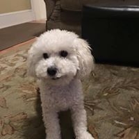 Traci Kennedy Photo 4