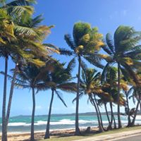 Dianne Devine Photo 4