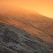 Dawn Low Photo 16