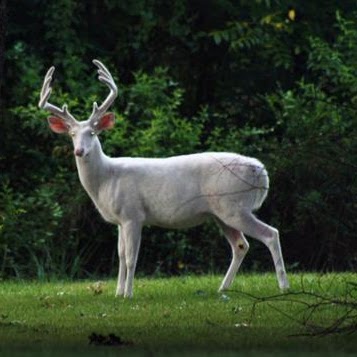 Aaron Paul Photo 38 Aaron Paul Photo 38