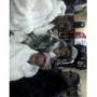 Gerald Collins Photo 28