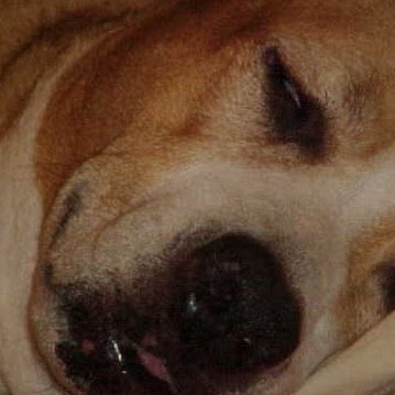 Nancy Baron Photo 12