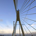 William Bridges Photo 47