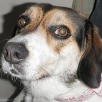 David Withrow Photo 18