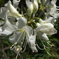 Christine Wilhelm Photo 13