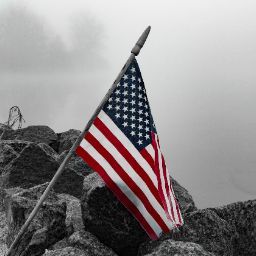 Bryan Erickson Photo 29