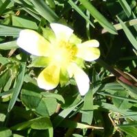 Carrie Vance Photo 12