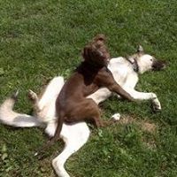 Justin Doherty Photo 14