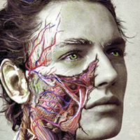 David Zak Photo 41 David Zak Photo 41