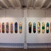 Trevor Robertson Photo 19