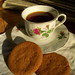 Cathy Bacon Photo 31