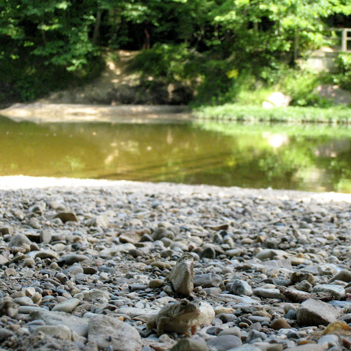 Allison Burke Photo 45