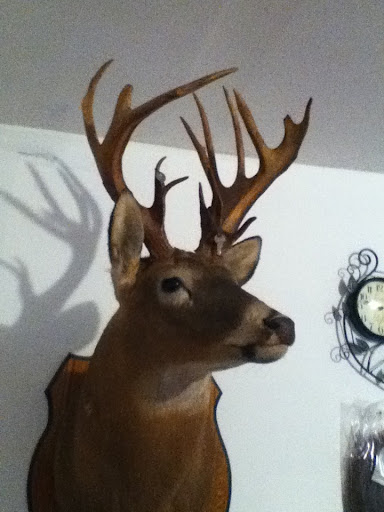 Brian Vaughn Photo 30