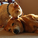 Jack Winters Photo 32