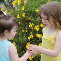 Ann Mccreery Photo 3