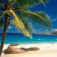 Tracy Hibbard Photo 12