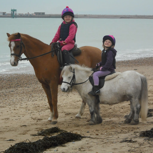 Debi Robinson Photo 21