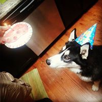 Alex Calvert Photo 18