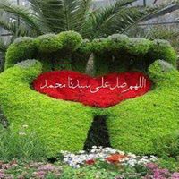 Mohammad Asif Photo 27