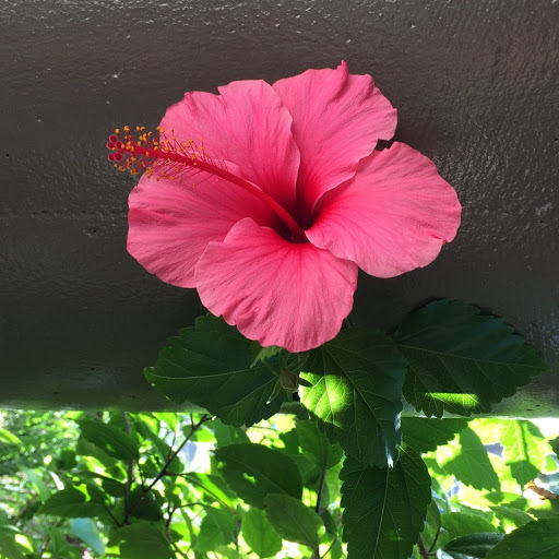 Katherine Cosgrove Photo 14