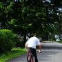 Steven Herman Photo 13