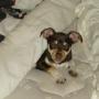Juanita Phillips Photo 34