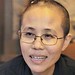 Binh Vo Photo 40